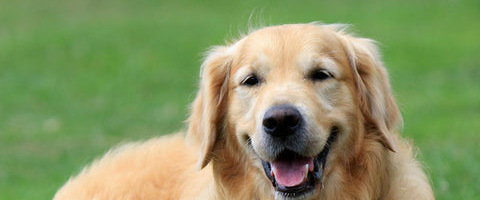 challenge background