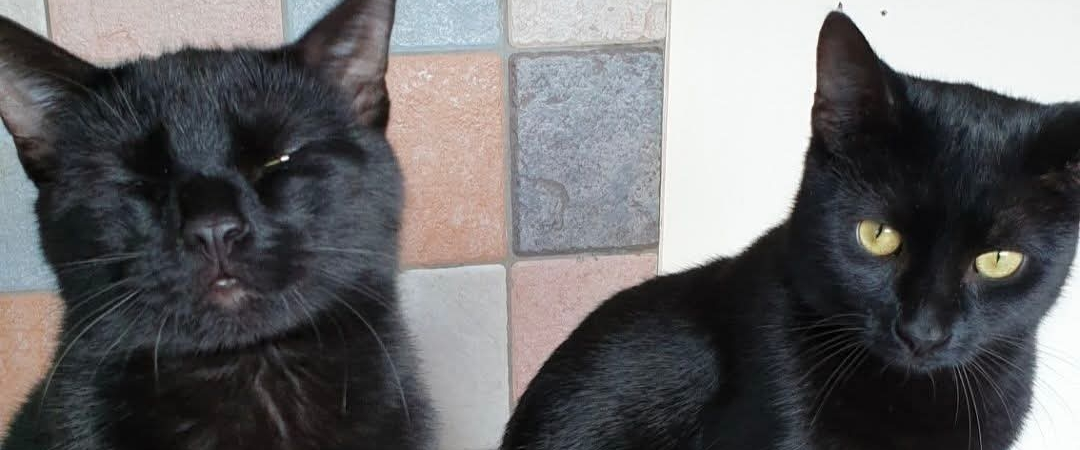 challenge background