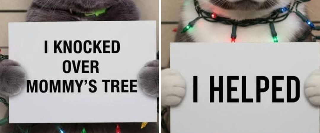 challenge background