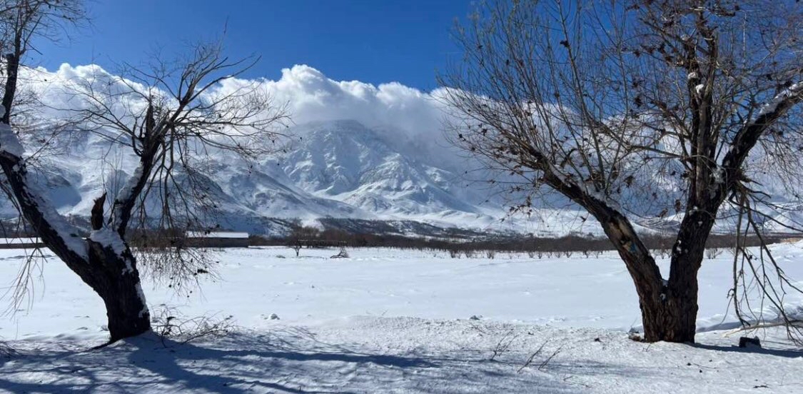 challenge background