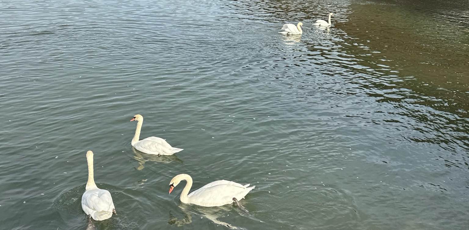 challenge background