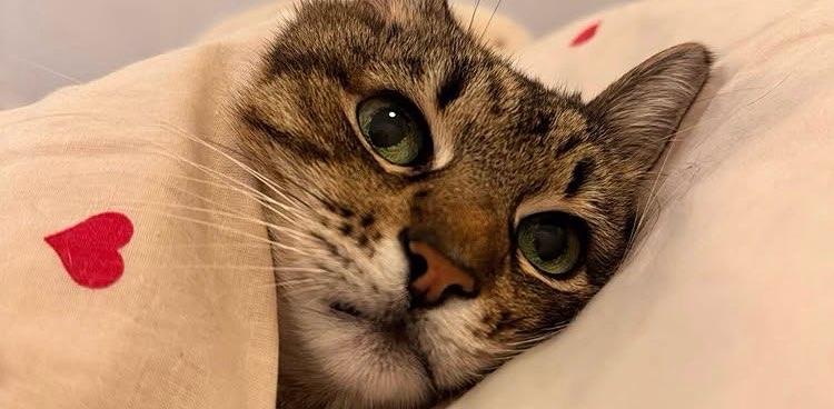 challenge background