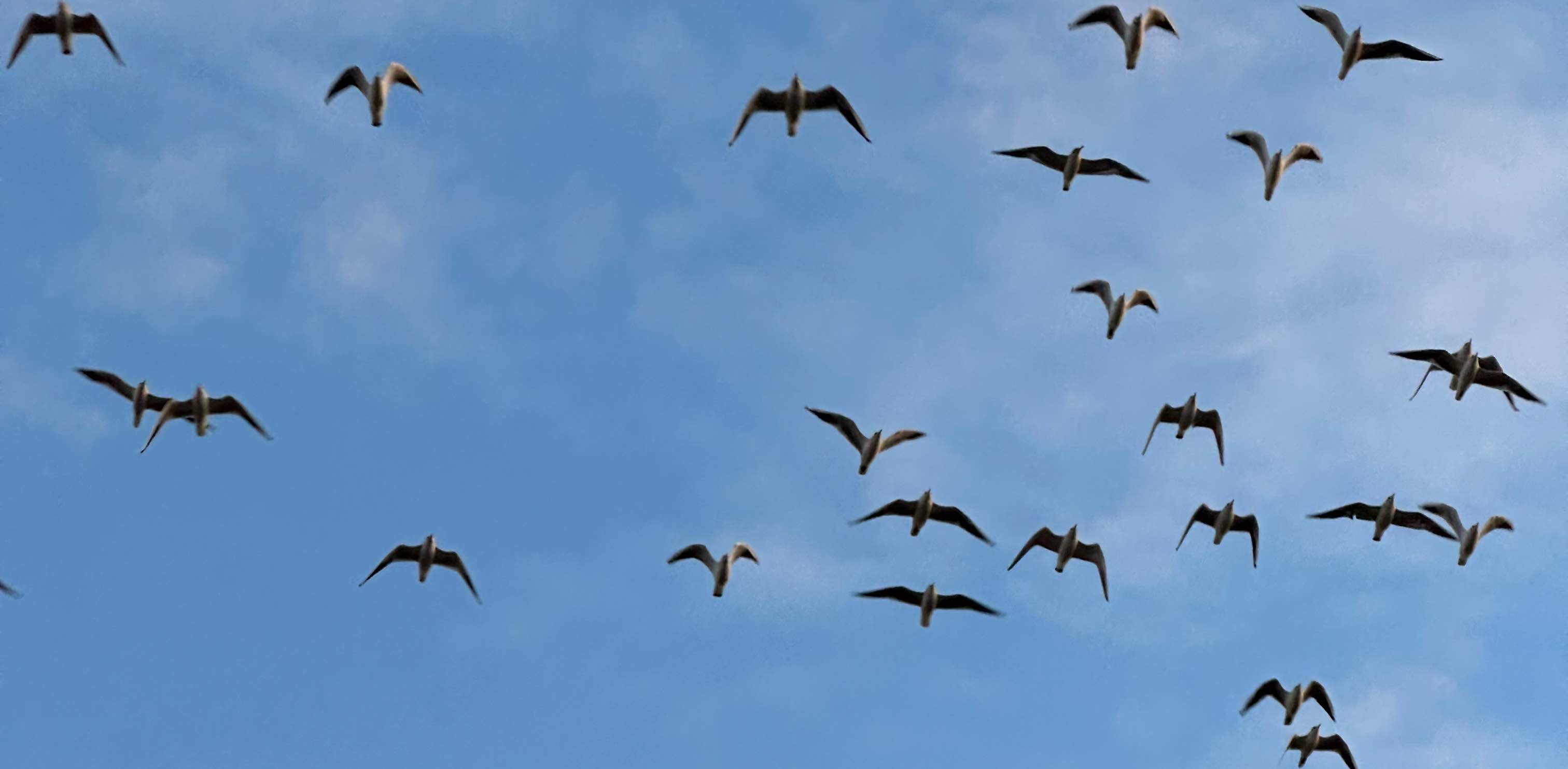 challenge background