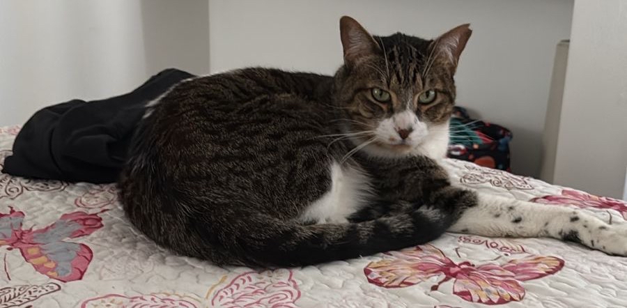 challenge background