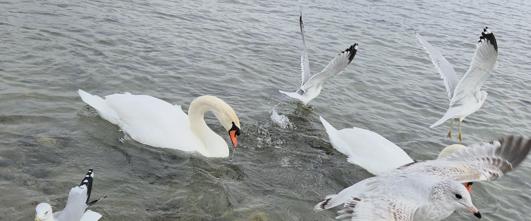 challenge background