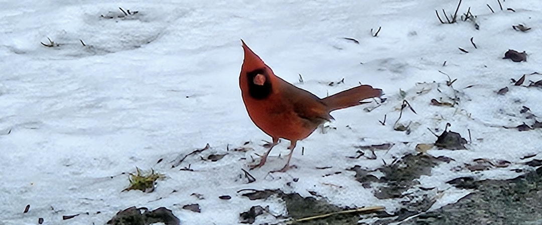 challenge background