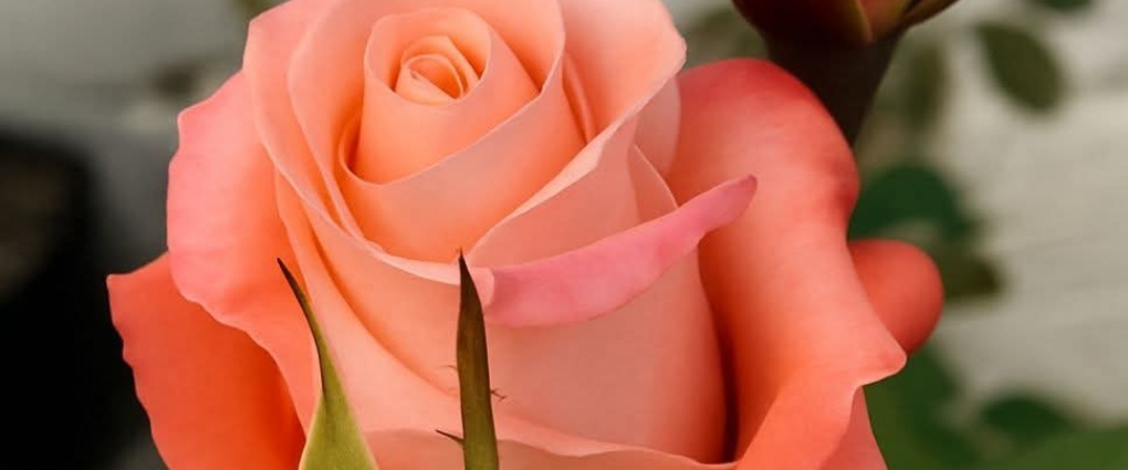 challenge background