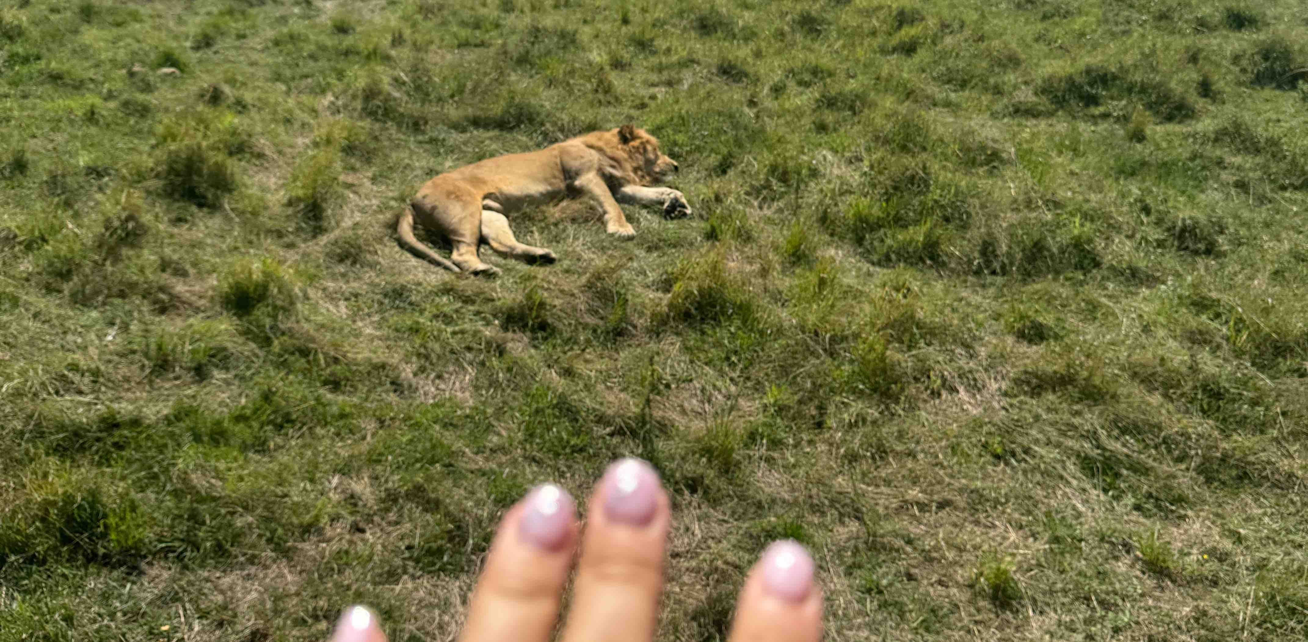 challenge background