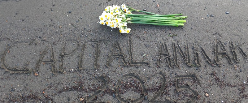 challenge background