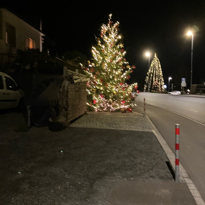 Delfinen Show Gruppe logo