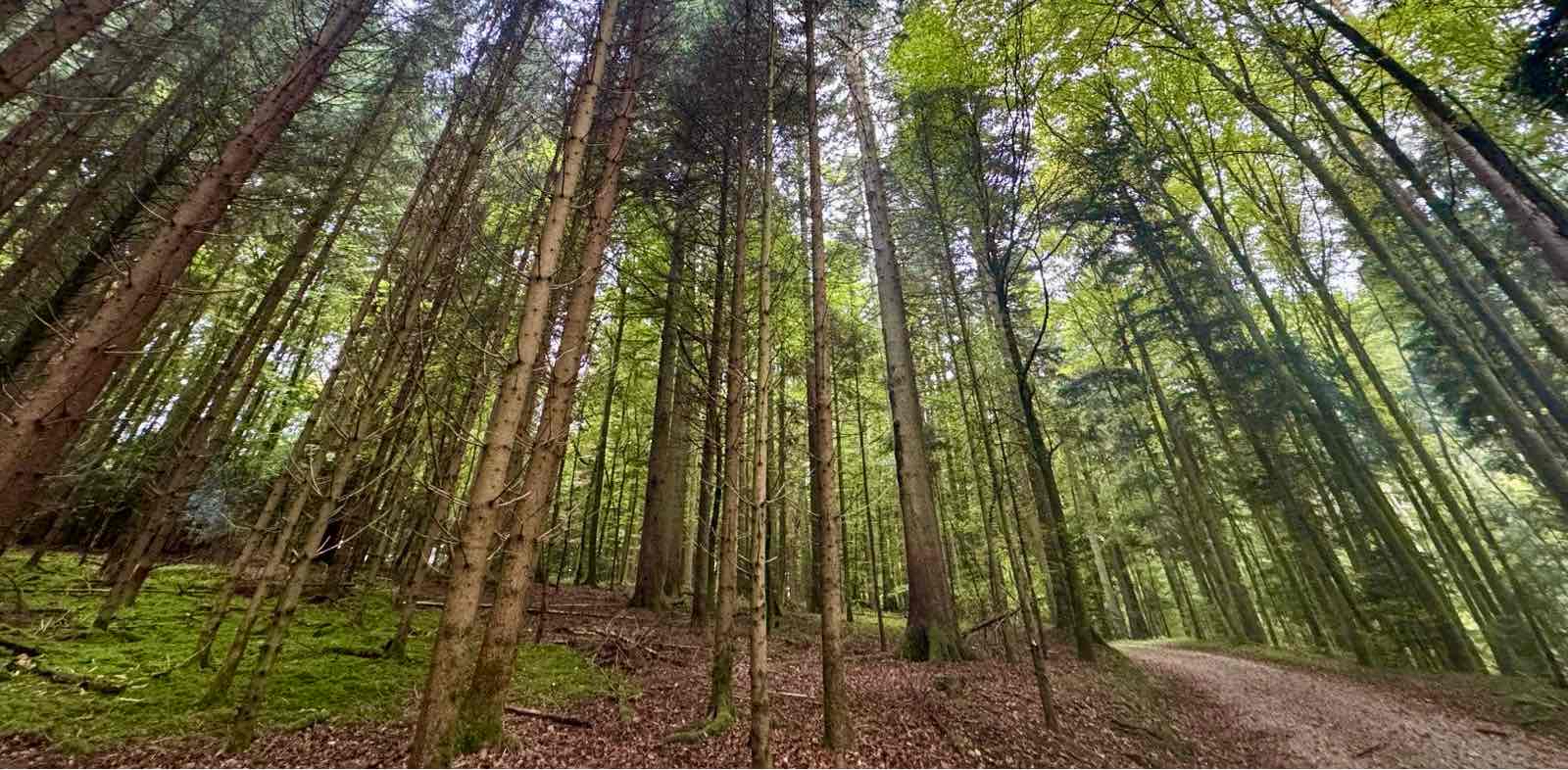 challenge background