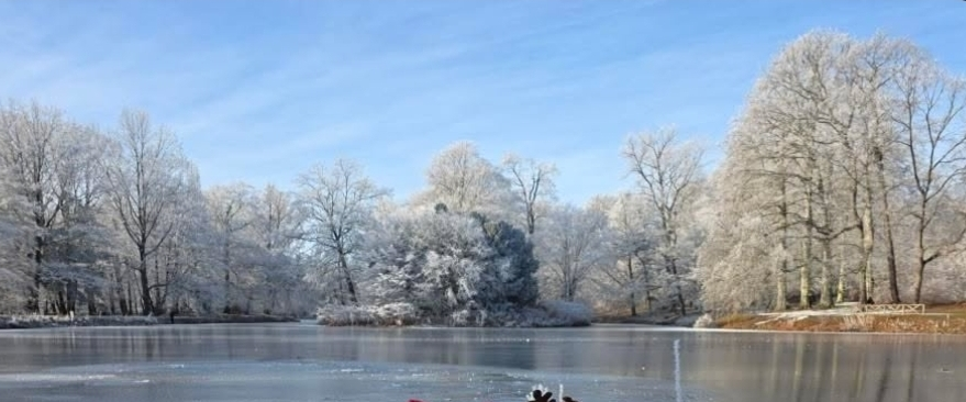 challenge background