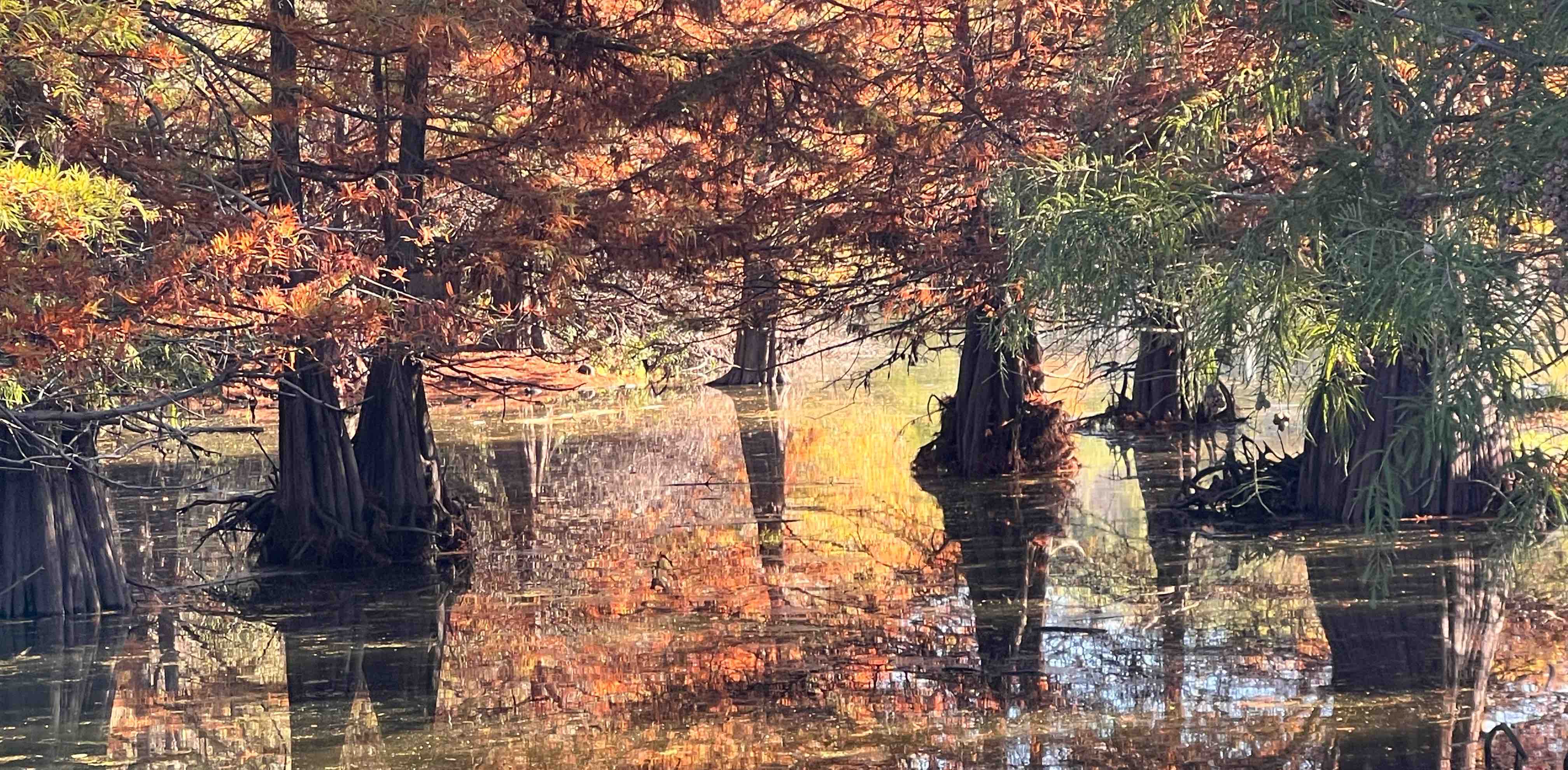 challenge background