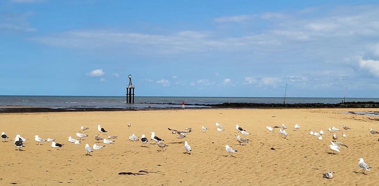 challenge background