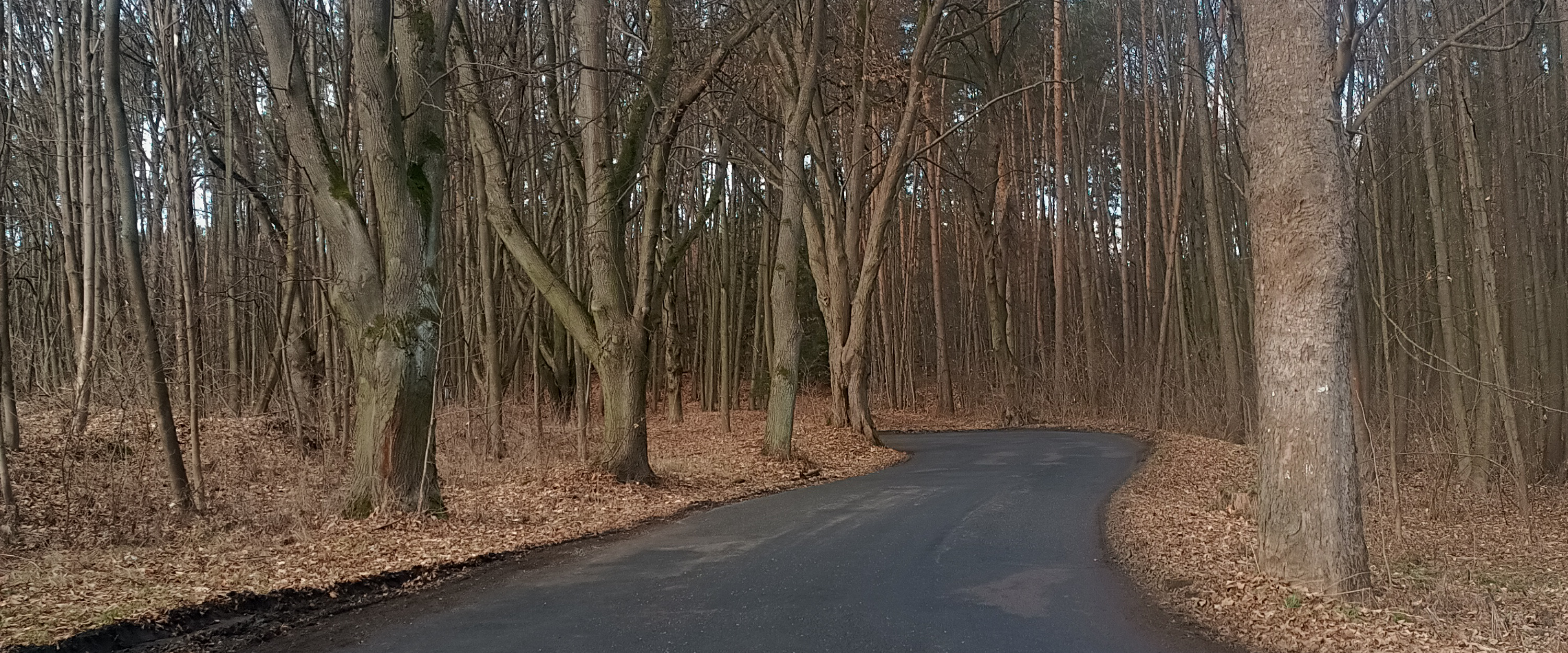 challenge background