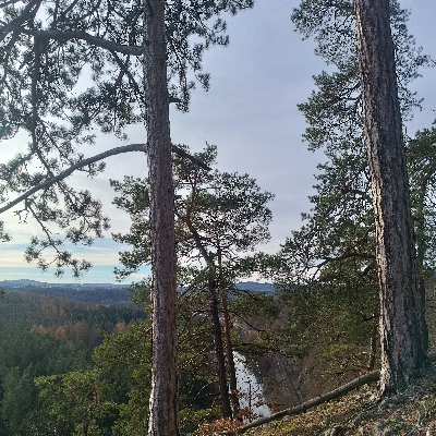 December6.21 mi challenge icon