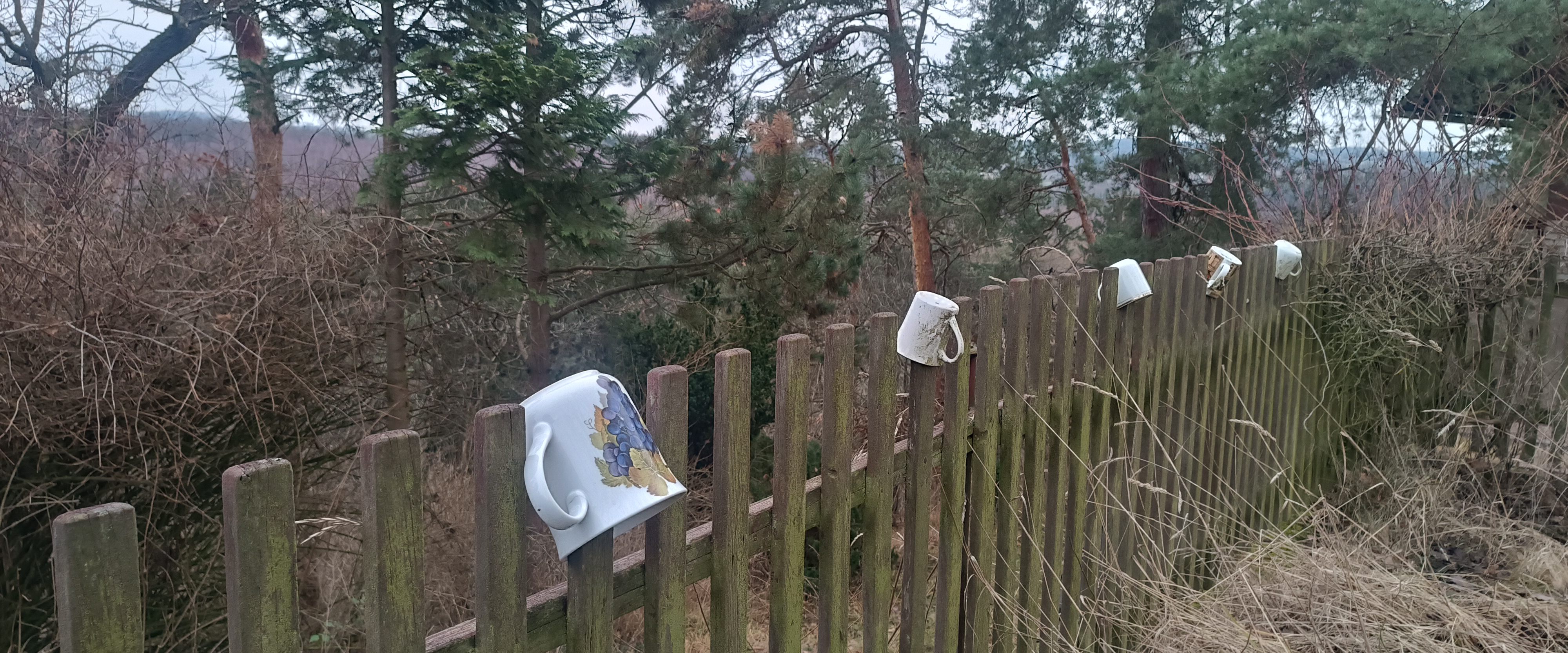 challenge background