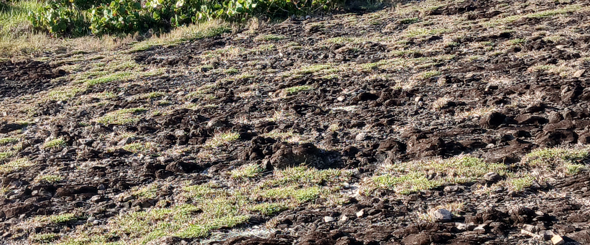 challenge background