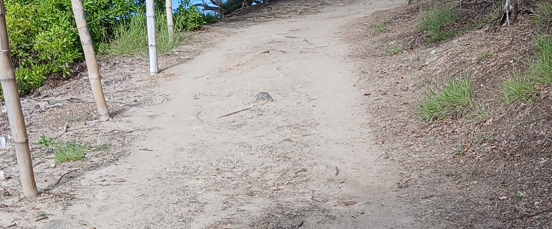 challenge background