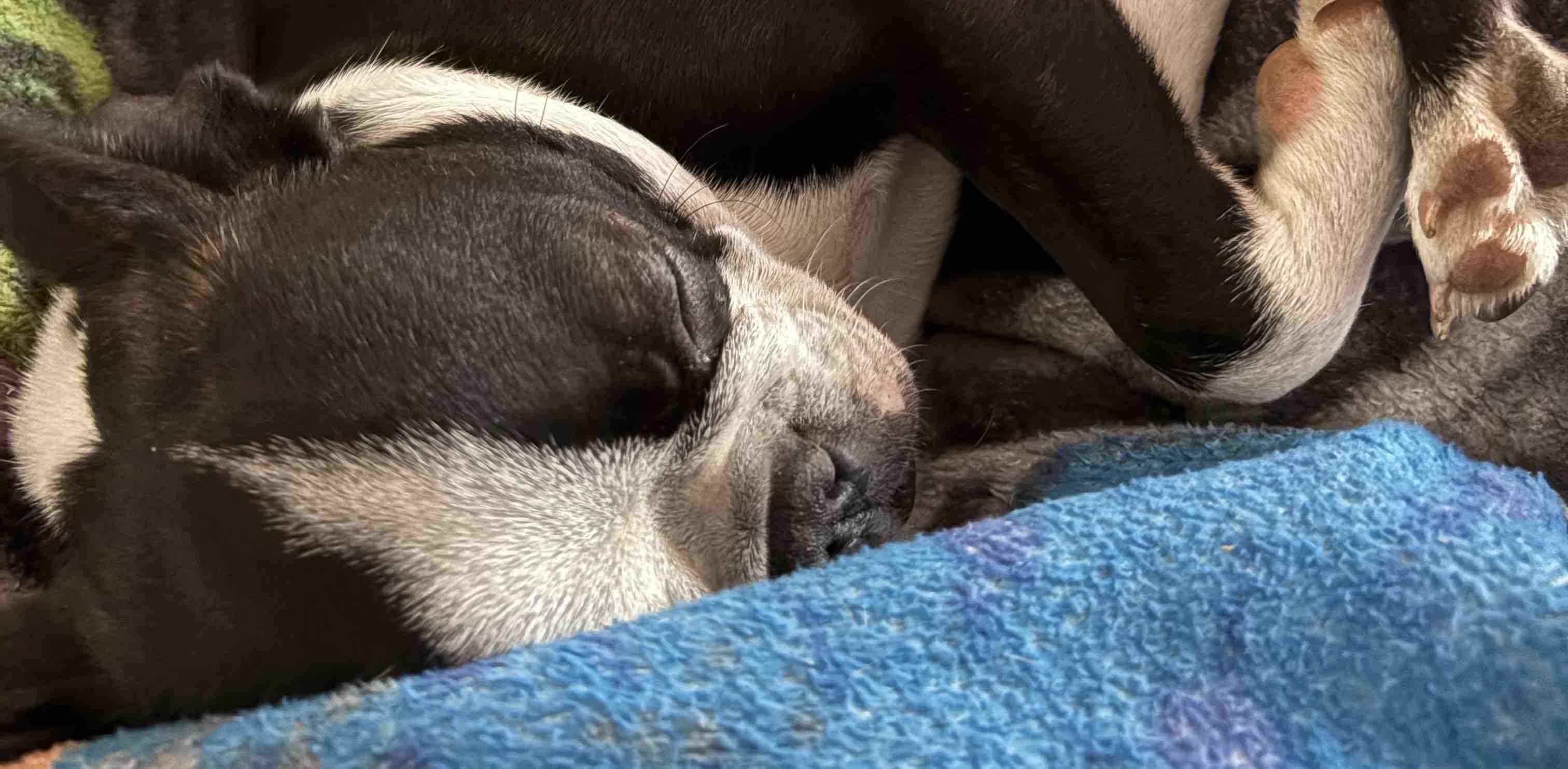 challenge background