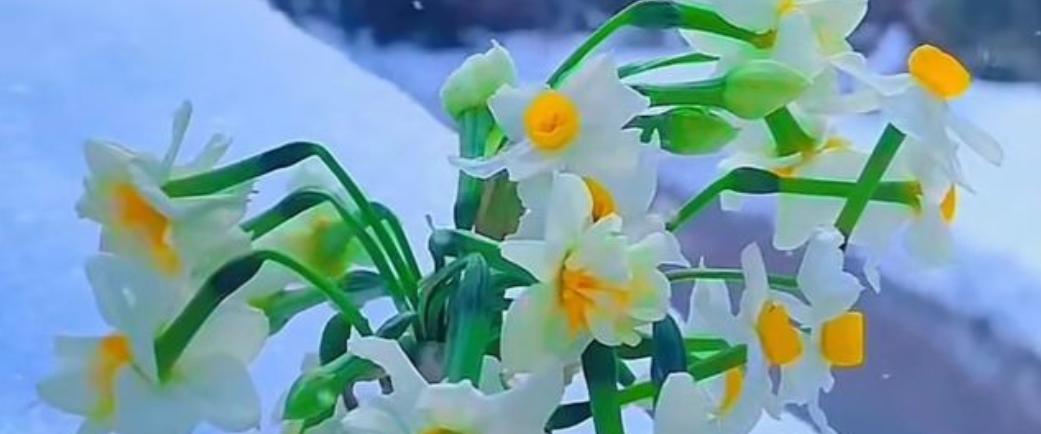 challenge background