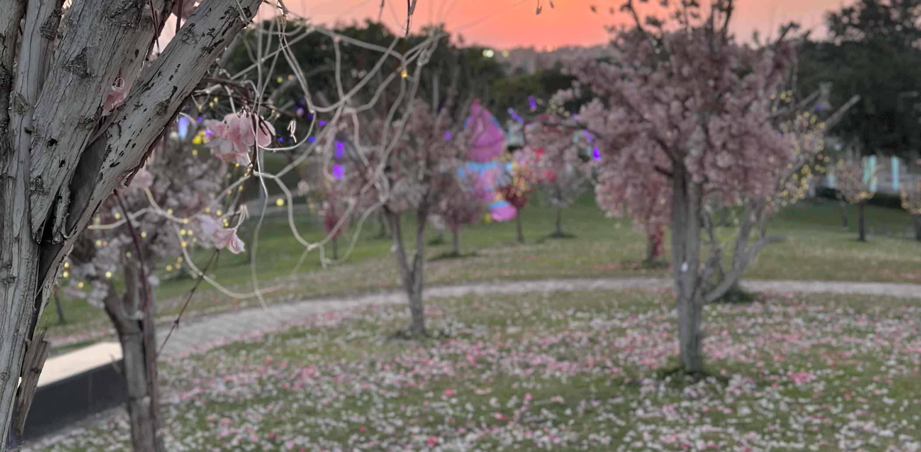 challenge background