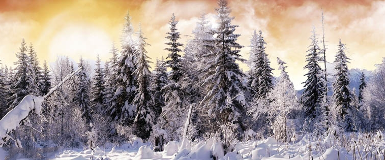 challenge background