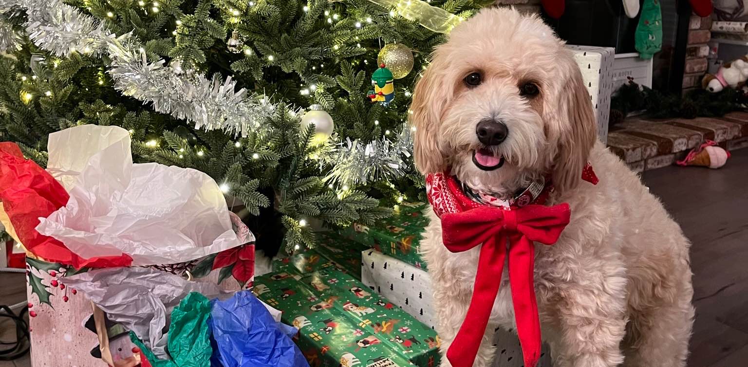 challenge background