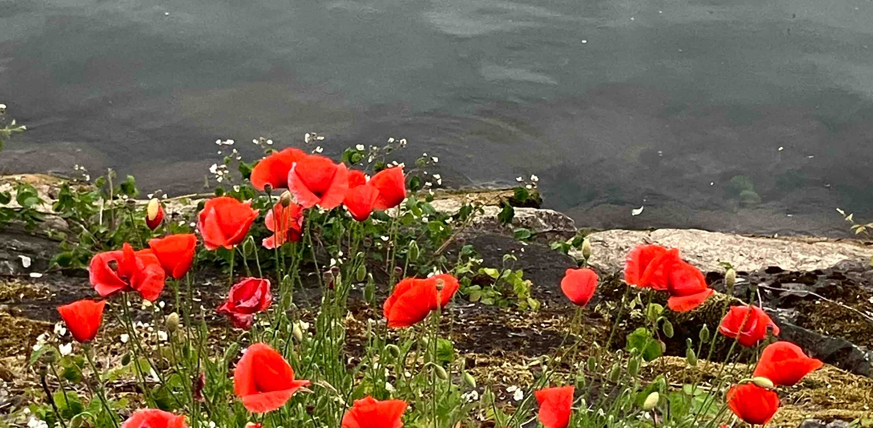 challenge background