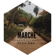 Objectif de pas quotidien - 1000 pas icon