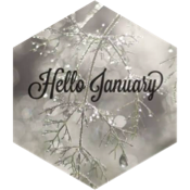 January 5 km Step Estimate icon