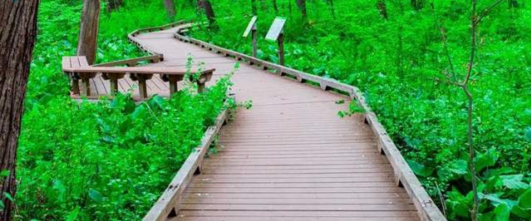 challenge background