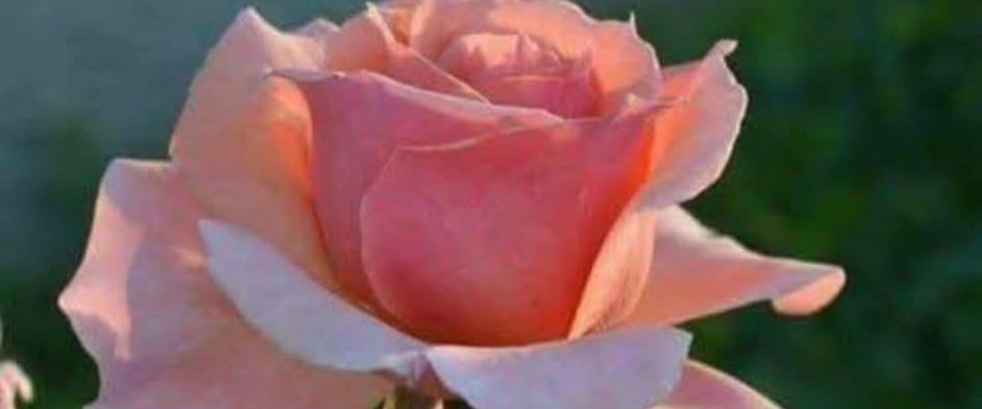 challenge background