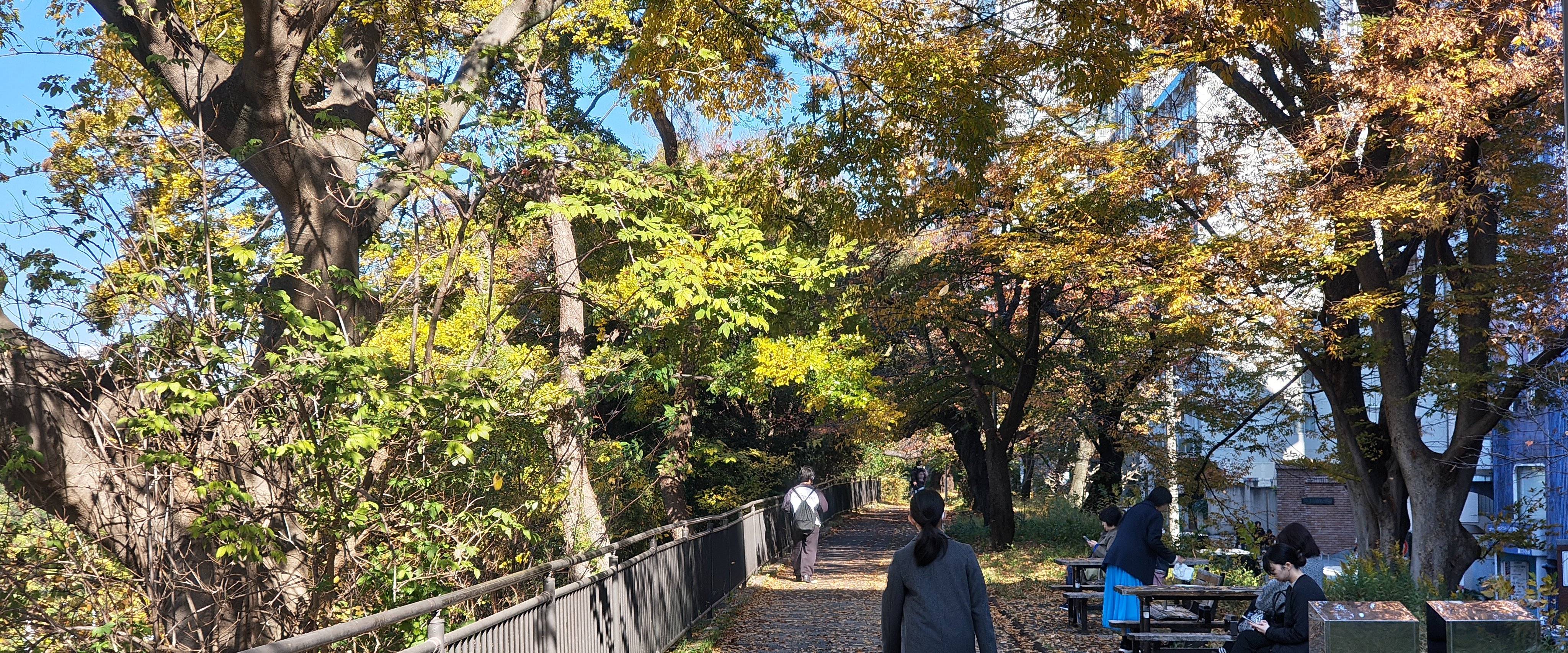 challenge background