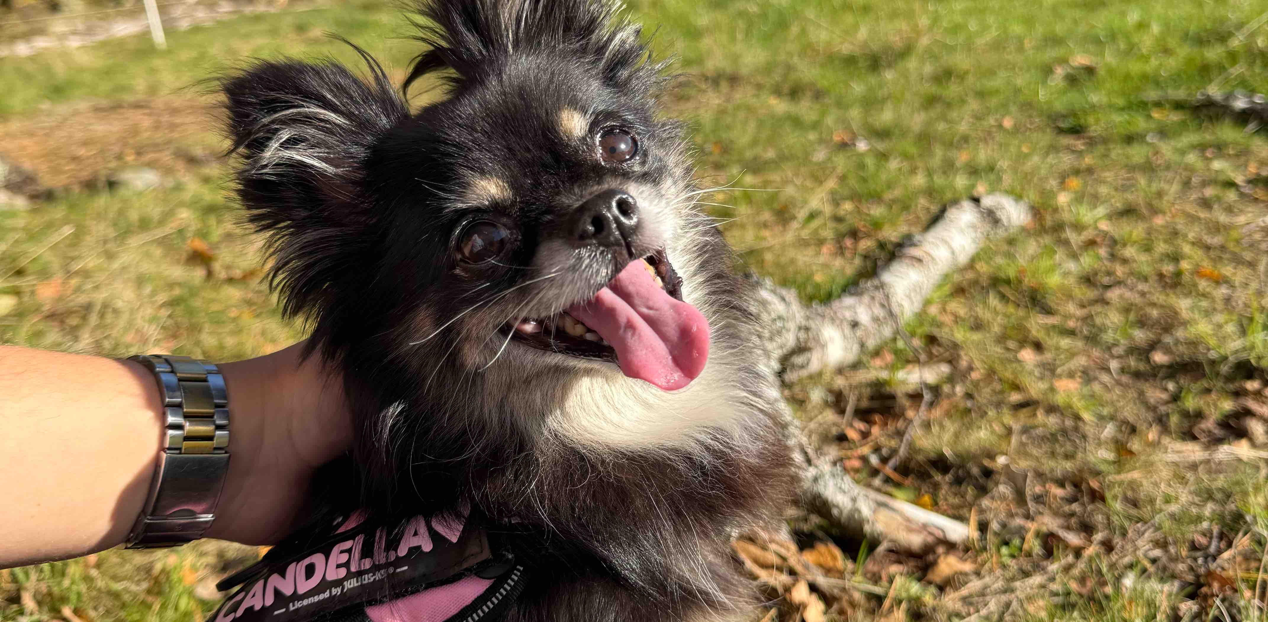 challenge background