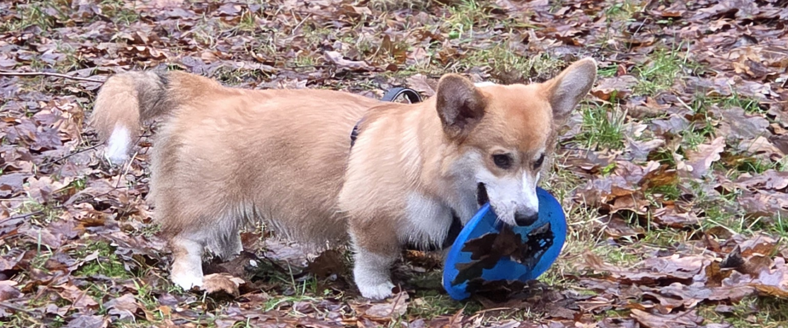 challenge background