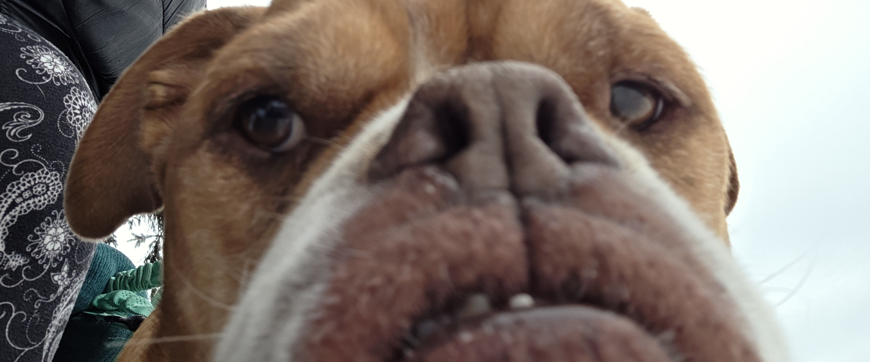 challenge background