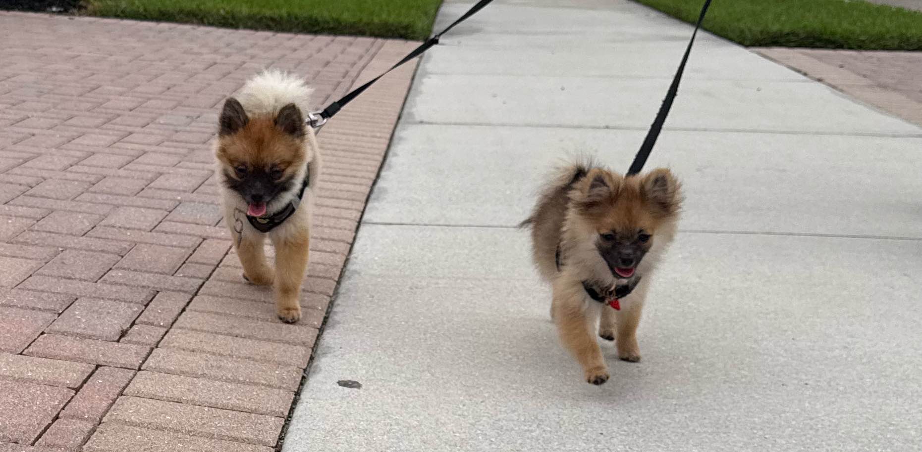 challenge background