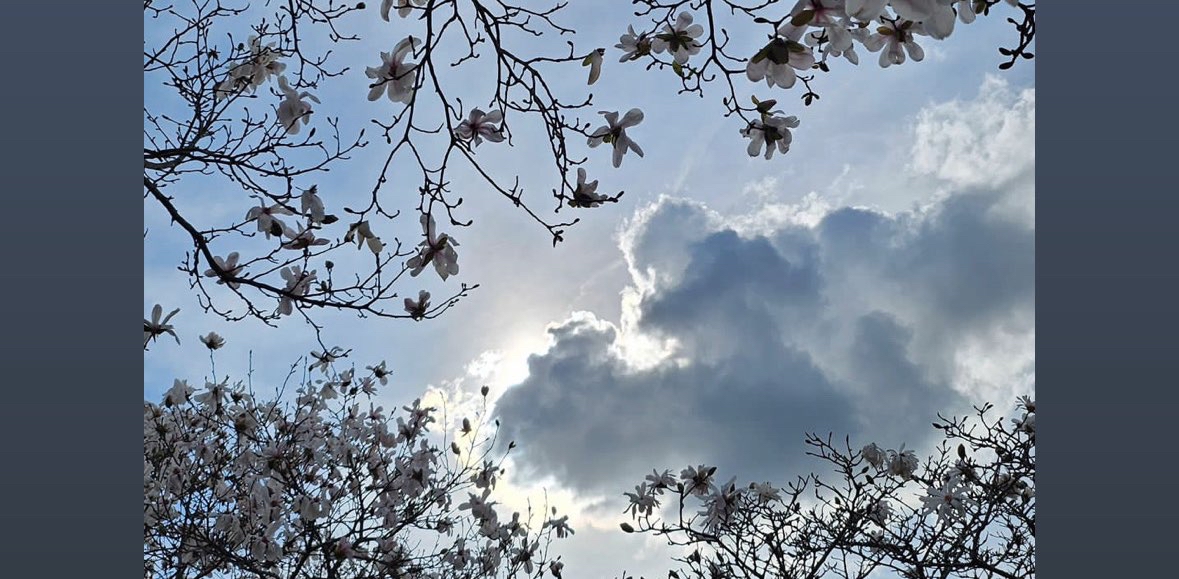 challenge background