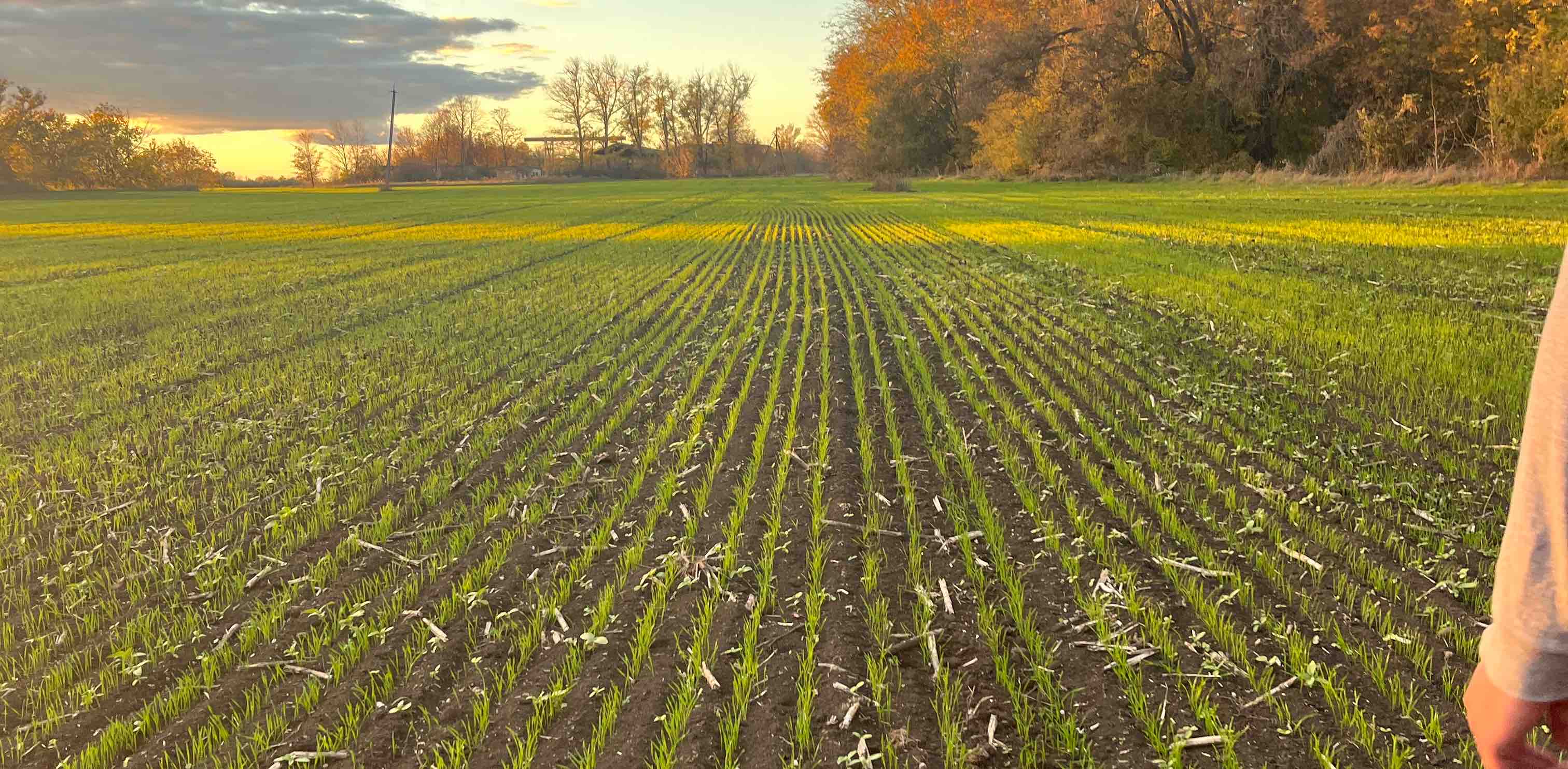 challenge background