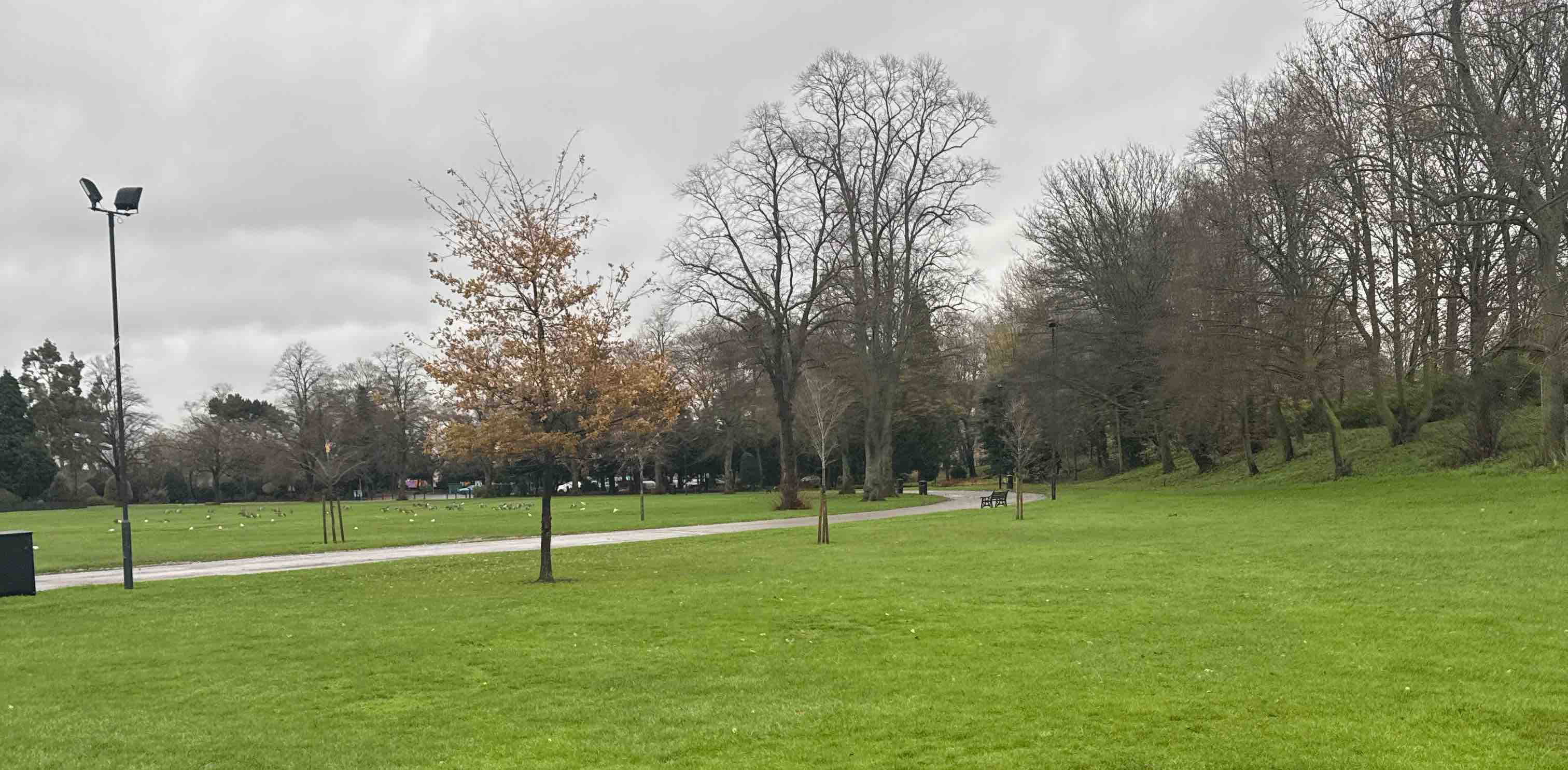 challenge background