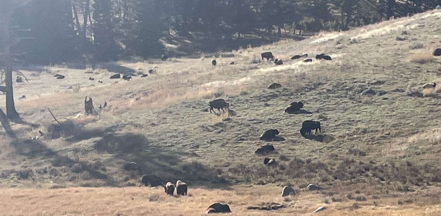 challenge background