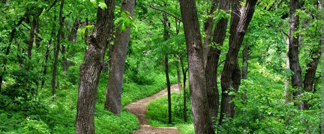 challenge background