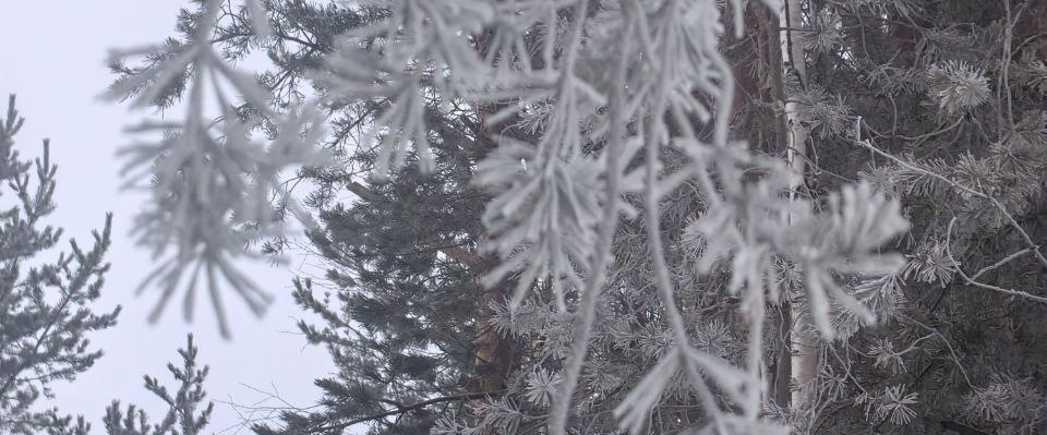 challenge background