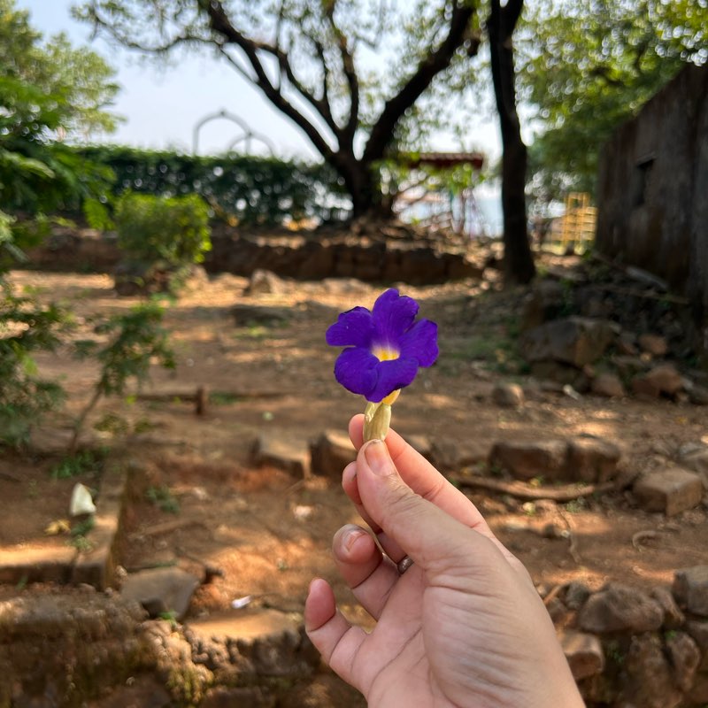 5K Aspired Pacers 🏞️🥇 logo