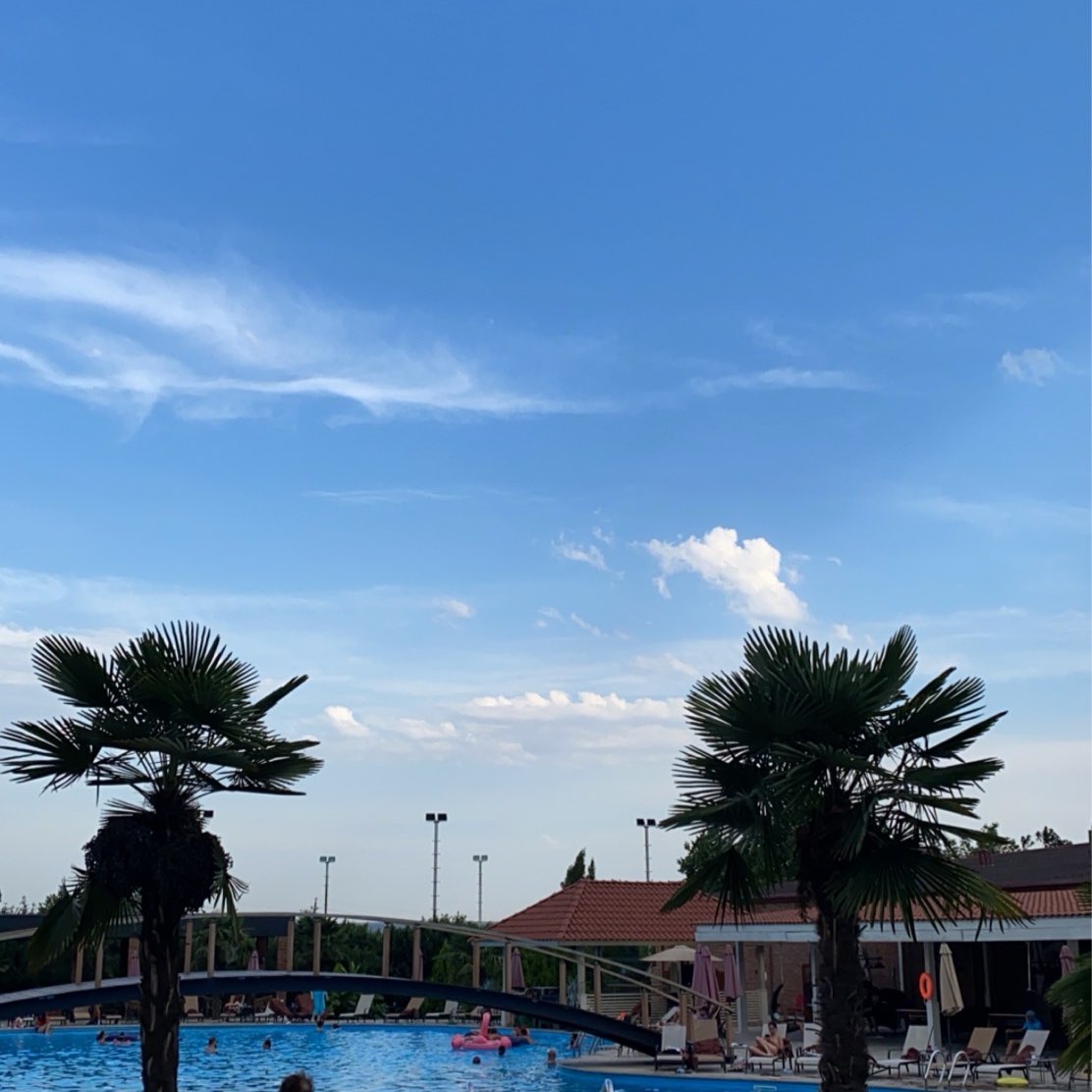 قروب العائله النحيفه 🫢 logo