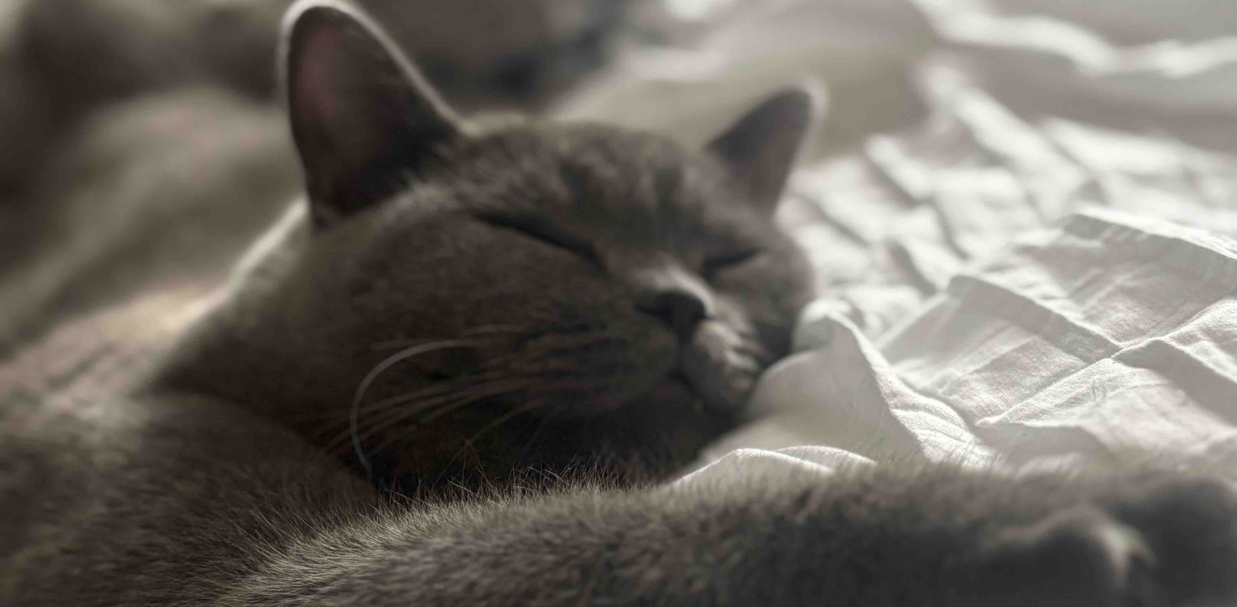 challenge background