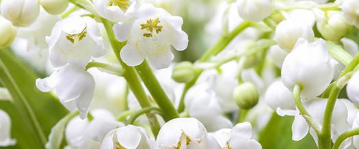 challenge background