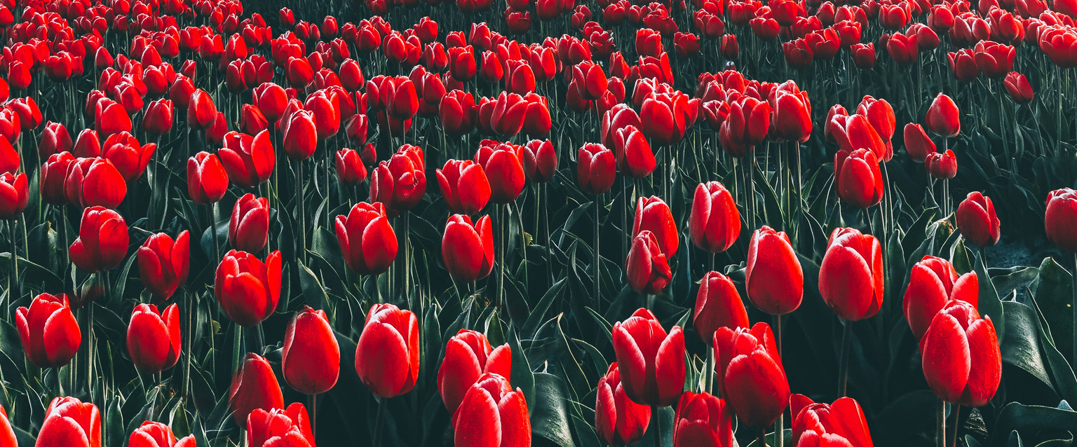 challenge background