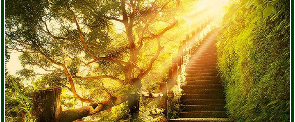 challenge background